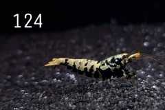 IMG_8366-1030x773 IMG_8366-1030x773