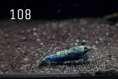 IMG_8367-1030x773 IMG_8367-1030x773