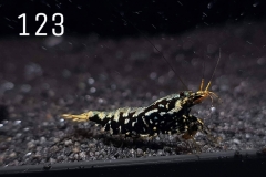 IMG_8368-1030x773 IMG_8368-1030x773