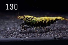 IMG_8369-1030x773 IMG_8369-1030x773