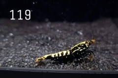 IMG_8370-1030x773 IMG_8370-1030x773