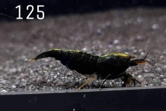 IMG_8371-1030x773 IMG_8371-1030x773