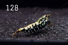 IMG_8372-1030x773 IMG_8372-1030x773