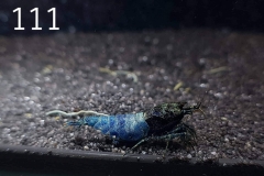 IMG_8374-1030x773 IMG_8374-1030x773