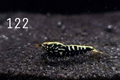 IMG_8375-1030x773 IMG_8375-1030x773