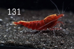 IMG_8377-1030x773 IMG_8377-1030x773