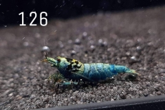 IMG_8378-1030x773 IMG_8378-1030x773