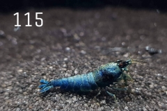 IMG_8380-1030x773 IMG_8380-1030x773