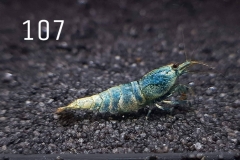 IMG_8382-1030x773 IMG_8382-1030x773