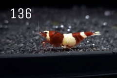 IMG_8384-1030x773 IMG_8384-1030x773