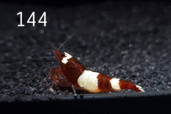 IMG_8385-1030x773 IMG_8385-1030x773