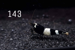 IMG_8387-1030x773 IMG_8387-1030x773