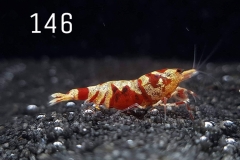 IMG_8388-1030x773 IMG_8388-1030x773