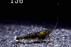 IMG_8389-1030x773 IMG_8389-1030x773