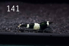 IMG_8393-1030x773 IMG_8393-1030x773