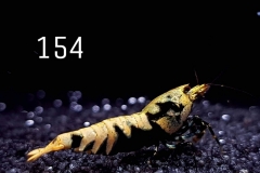 IMG_8395-1030x773 IMG_8395-1030x773