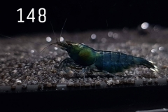 IMG_8396-1030x773 IMG_8396-1030x773