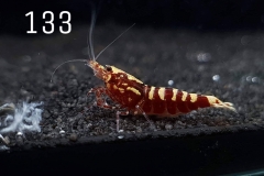 IMG_8397-1030x773 IMG_8397-1030x773