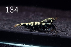 IMG_8398-1030x773 IMG_8398-1030x773