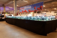 bakjes-gevuld-met-mos-klein bakjes-gevuld-met-mos-klein