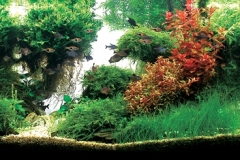 iaplc2007-14 iaplc2007-14