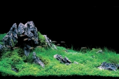 iaplc2007-21 iaplc2007-21