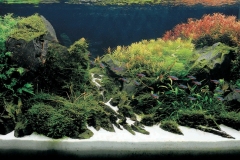 iaplc2007-23 iaplc2007-23