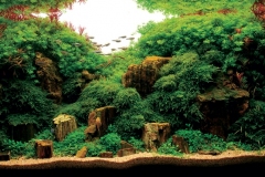 iaplc2007-3 iaplc2007-3