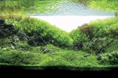 iaplc2007-5 iaplc2007-5