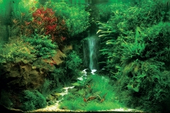 iaplc2007-7 iaplc2007-7