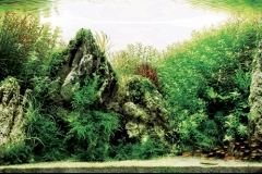 iaplc2007-8 iaplc2007-8