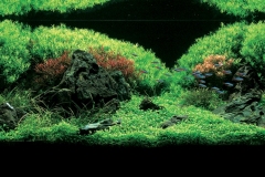 OLYMPUS DIGITAL CAMERA OLYMPUS DIGITAL CAMERA