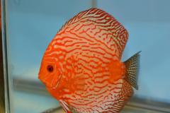 DSC_4966_zps82d1a12d2