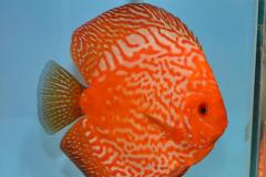 DSC_4967_zpsc833c04a