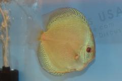 DSC_4969_zps4ed32c44