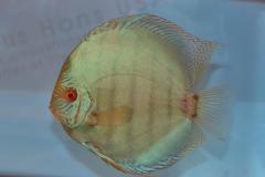 DSC_4985_zps113ec9ab