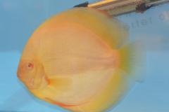 DSC_4989_zps490068c9