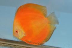 DSC_5037_zps96bd0170