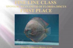 First-Place-Fine-Line