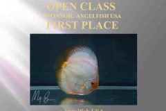 First-Place-Open-Class