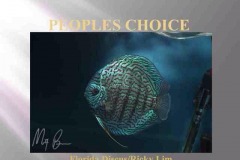 First-Place-Peoples-Choice