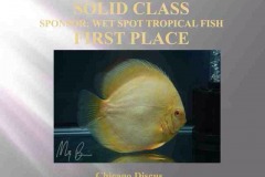First-Place-Solid-Class
