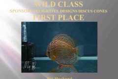 First-Place-Wilds