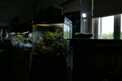 2019-Oceanika-Wystawa-Zdjecie-002-Sera-Fluval-Tomasz-Janik