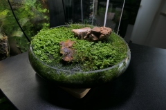 2019-Oceanika-Wystawa-Zdjecie-003-Sera-Fluval-Tomasz-Janik