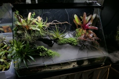 2019-Oceanika-Wystawa-Zdjecie-007-Sera-Fluval-Tomasz-Janik