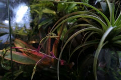 2019-Oceanika-Wystawa-Zdjecie-009-Sera-Fluval-Tomasz-Janik