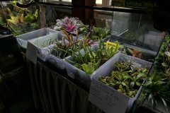 2019-Oceanika-Wystawa-Zdjecie-010-Sera-Fluval-Tomasz-Janik