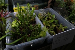 2019-Oceanika-Wystawa-Zdjecie-011-Sera-Fluval-Tomasz-Janik