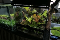 2019-Oceanika-Wystawa-Zdjecie-012-Sera-Fluval-Tomasz-Janik